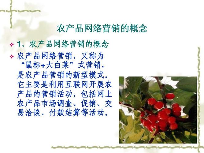 【最全最詳細】互聯(lián)網 三農:農產品網絡營銷ppt